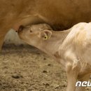 황고개농장 이미지