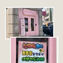 핑크팰리스 | 안산 핑크팰리스 후기 | 중앙역 근처 핑크 감성 카페