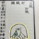 하나로기경희한의원 이미지