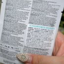 태평양식품 | [간식 리뷰] 알모네이쳐 HFC 스테릴라이즈 캣 / HFC 하이드레이션 헬프 캣 솔직 후기