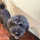 메종VIP203 이미지