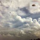 토종슈퍼 이미지