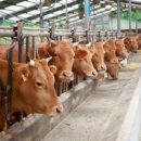 장수축산 이미지