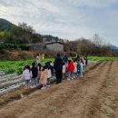 여자만마을 이미지