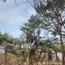 쌍봉산 근린공원 이미지