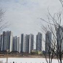 청라호수공원(제1주차장) | 청라호수공원바둑 방문 기록｜더글로리 촬영지에서 만난 호수 풍경