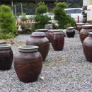 여수쭈꾸미 이미지