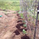 강소농장 이미지