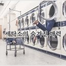 미래세탁소 | 코인세탁소 - 코인 세탁소 가격, 코인 세탁소 현실, 코인세탁소 이불 빨래