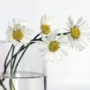 주안여관 이미지