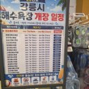 씨유 강릉삼우은성점 | 강릉이마트 휴가철 행사,장난감,가전,식품 물놀이 용품 장보고온후기