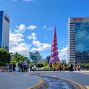 청계비디오백화점 | 배민커넥트 도보 Ai배차 따라 서울구경하기 🚶뚜벅이 배민커넥트 🏃