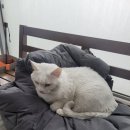 째즈헤어살롱
