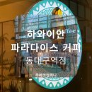 4405 | 하와이안 파라다이스 커피 동대구역 KTX 기다리면서 마시는 세계3대커피 Hawaiian Paradise Coffee