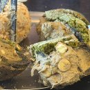 정도너츠앞 | 아베베 베이커리 서울 종로 광장시장에서 맛보는 크림 도너츠 맛집 제주동문시장 아베베가 서울상륙!