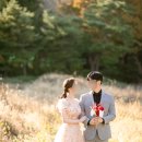 씨앤엘 (C&L) 이미지