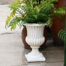 기쁨을 키우는 가족 원예생활 | 플라스틱 대형 화분 하나로 바뀐 우리 집 거실의 공기