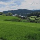 The수공인중개사사무소 이미지