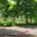 순창 괴정삼거리 | 순창 채계산 등산코스(주차장~출렁다리~송대봉~당재~화산옹 바위의 전설~원점)