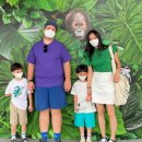 샘 해밍턴 카카오 검색결과