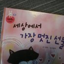 쩡이의세상이야기 이미지