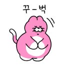 카페돌옷 이미지