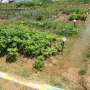 인동어린이집 이미지