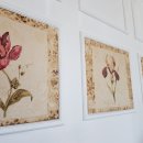 금오산민물장어 이미지