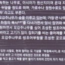 한내 이미지