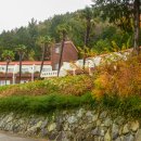 여수봉황산자연휴양림 이미지