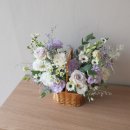 보라꽃화원 이미지