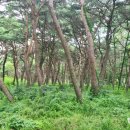 현내리 도원정사 이미지