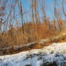 효성목장 이미지