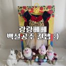 랑랑 | 200일 셀프촬영 후기ㅣ "랑랑베베" 백설공주컨셉🤍