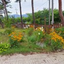 탱자네민박 이미지