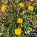 진영공인중개사사무소 이미지