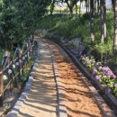 진도공설운동장 이미지