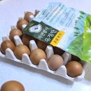 신선한농장 이미지