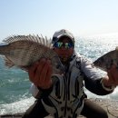 서경민박 이미지