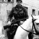 메레(mere) 이미지