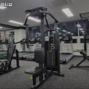 가오짐 피티샵 이미지