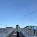 Y-015 | 족저근막염 신발 브랜드 밸롭 발편한 운동화 추천 착용 후기