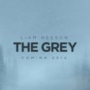 더그레이 The Gray 이미지