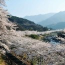 사진찍는곳