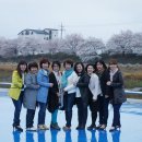 조천변 벚꽃길 이미지