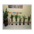 필동어린이집 이미지