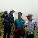 새롬모터스 이미지