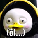 올림픽골프아카데미 이미지