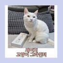 에이치케이공감 | 고양이 발톱관리 추천템 세이치 전동 LED 고양이 그라인더