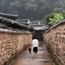 인흥마을 | “대구 인흥마을 능소화 명소｜고택과 흙담장이 어우러진 꽃길”